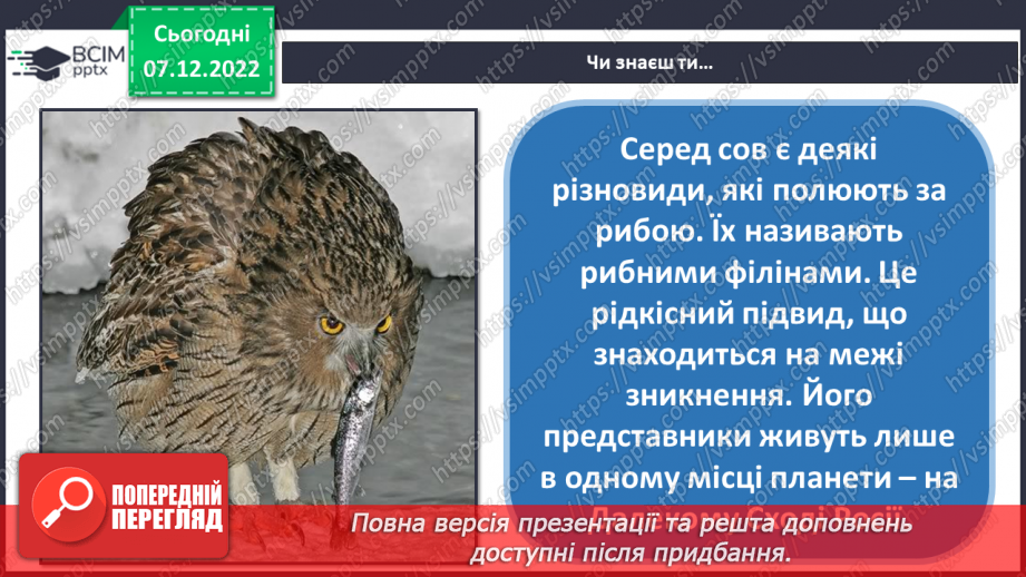 №17 - Розумна сова. Робота з пластиліном. Виготовлення із пластиліну плоских зображень. Ліплення сови за зразком.4