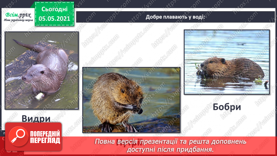 №052 - Природне угруповання — прісна водойма.27