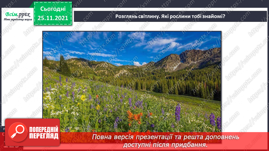 №099 - Які трав’янисті рослини називають «синоптиками», а які — «годинниками»?5