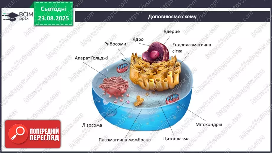 №003 - Узагальнення вивченого з теми: «Організм людини та тварин як складна багаторівнева біологічна система».22 №003 - Узагальнення вивченого з теми: «Організм людини та тварин як складна багаторівнева біологічна система».22