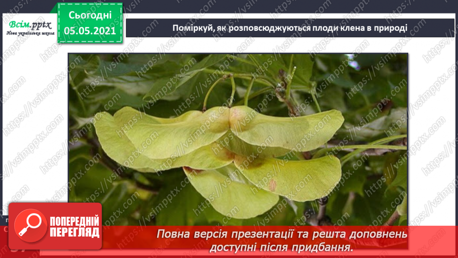 №033 - Розмноження квіткових рослин17