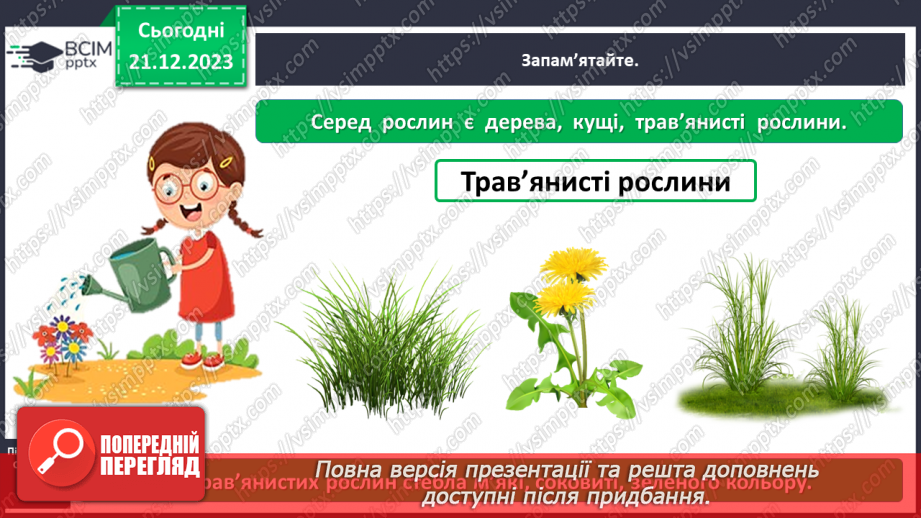 №051 - Які бувають рослини8 №051 - Які бувають рослини8