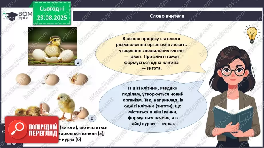 №003 - Біологія як наука. Основні властивості живого.19 №003 - Біологія як наука. Основні властивості живого.19