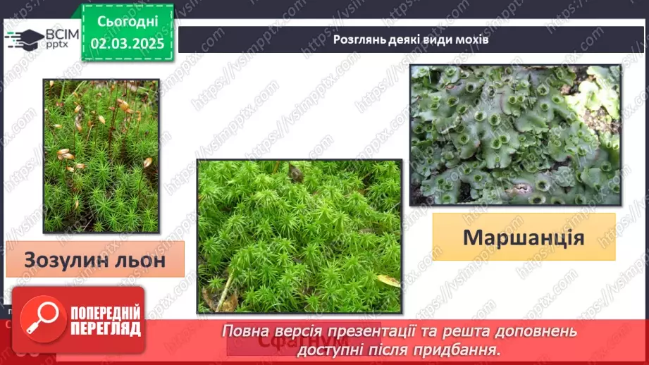 №074 - Різноманітність рослин. ст.59-6125
