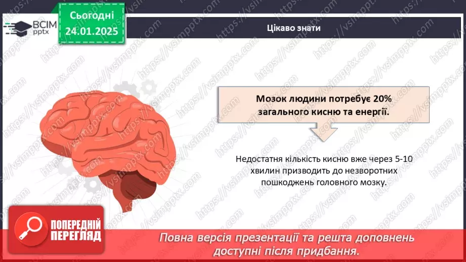 №020 - Як працює наш мозок?18 №020 - Як працює наш мозок?18
