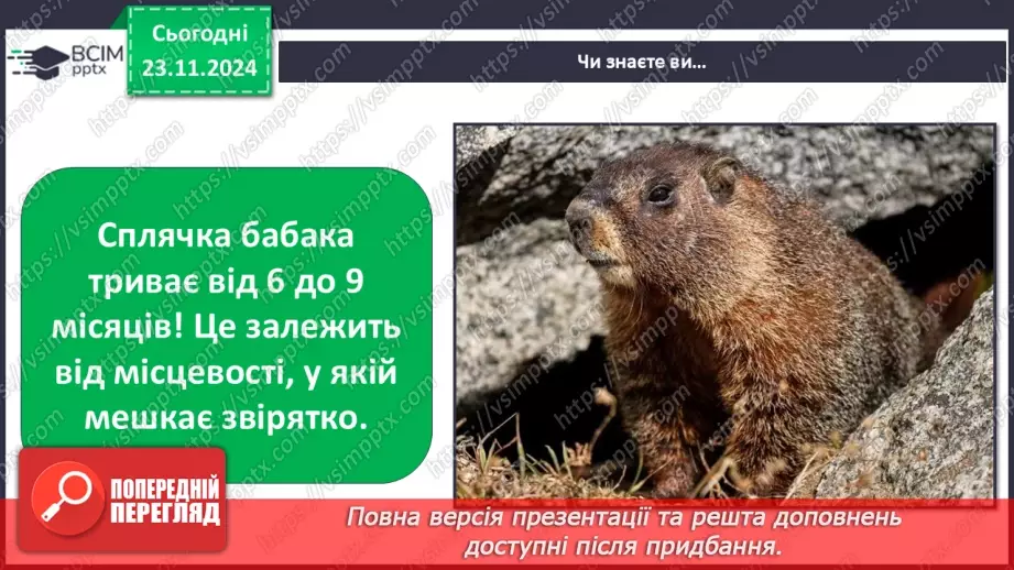 №0037 - Як звірі готуються до зими38 №0037 - Як звірі готуються до зими38