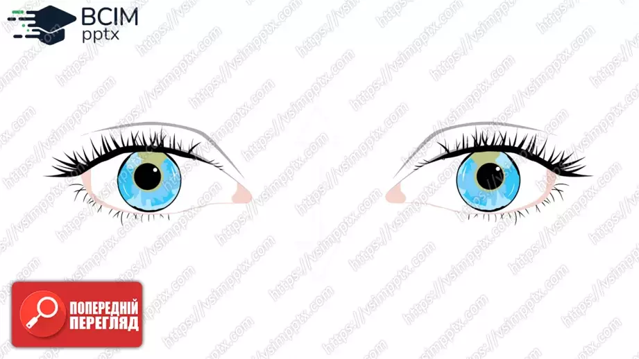 №025 - П/О. ГР4 Граматика. Present Perfect Simple15 №025 - П/О. ГР4 Граматика. Present Perfect Simple15