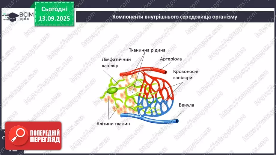 №010 - Внутрішнє середовище організму. Серцево-судинна й лімфатична нна системи.11 №010 - Внутрішнє середовище організму. Серцево-судинна й лімфатична нна системи.11