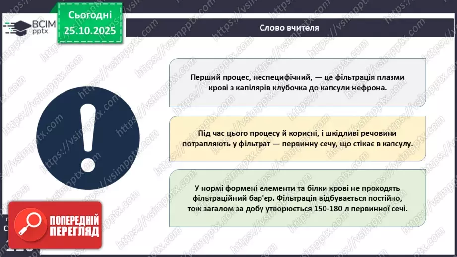 №029 - Будова й функції сечовидільної системи людини. Сечоутворення.13 №029 - Будова й функції сечовидільної системи людини. Сечоутворення.13