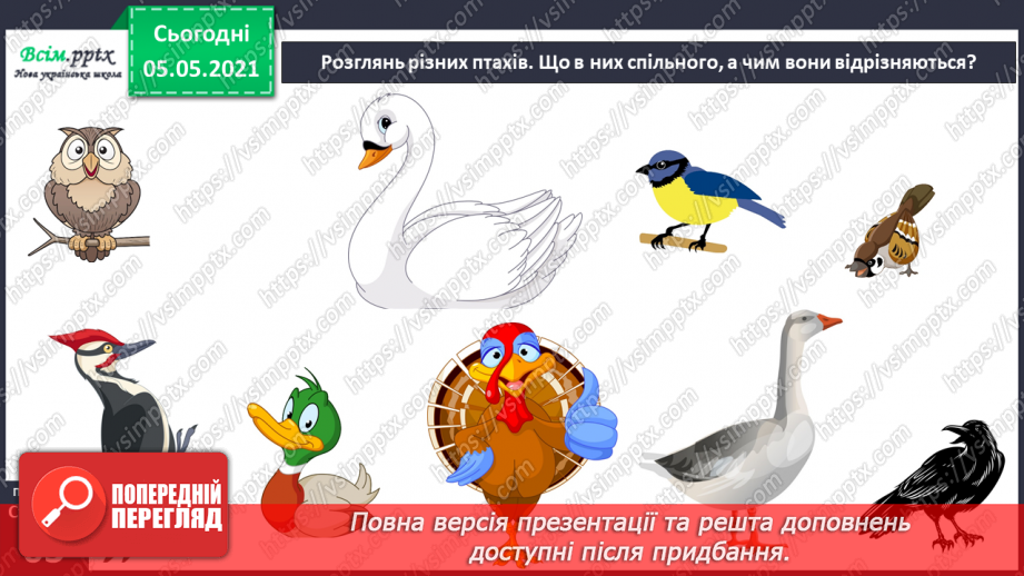 №040 - Птахи.4 №040 - Птахи.4