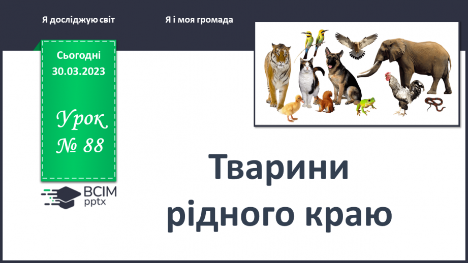 №0088 - Тварини рідного краю0 №0088 - Тварини рідного краю0