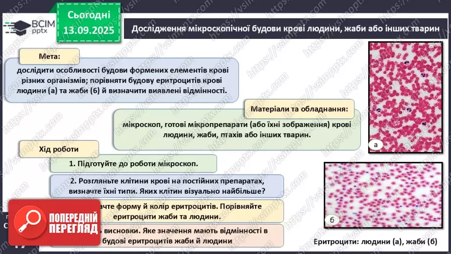 №011 - Кров. Плазма крові. Еритроцити. Групи крові12 №011 - Кров. Плазма крові. Еритроцити. Групи крові12