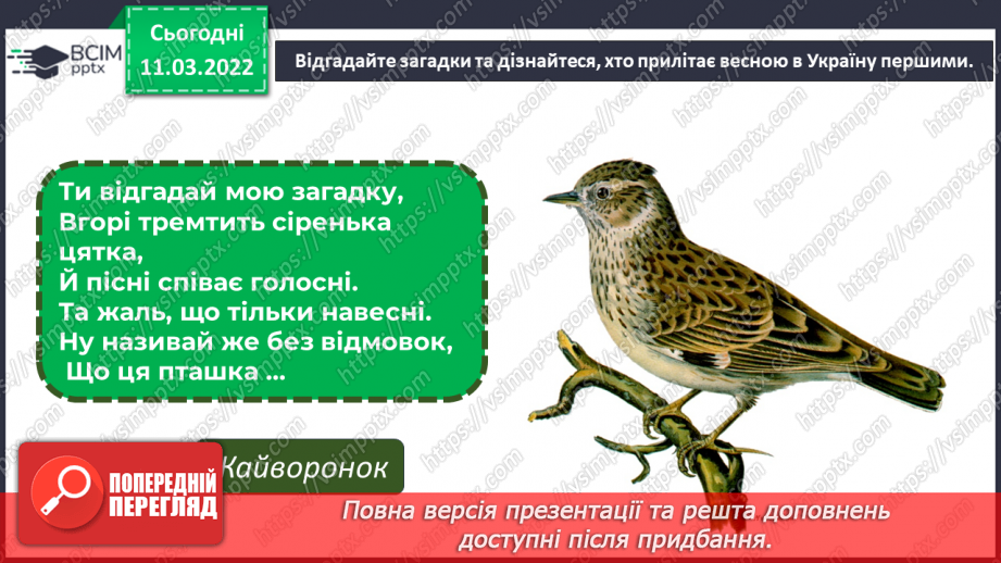 №25 - Основні поняття: художники- анімалісти, форма птаха10