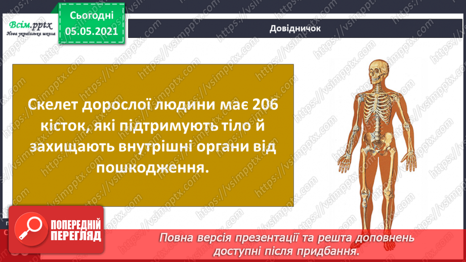 №057-58 - Скелет — опора тіла.14 №057-58 - Скелет — опора тіла.14