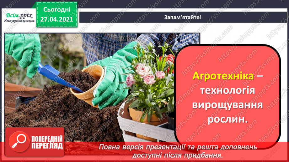 №017 - Вирощування кімнатних рослин7 №017 - Вирощування кімнатних рослин7