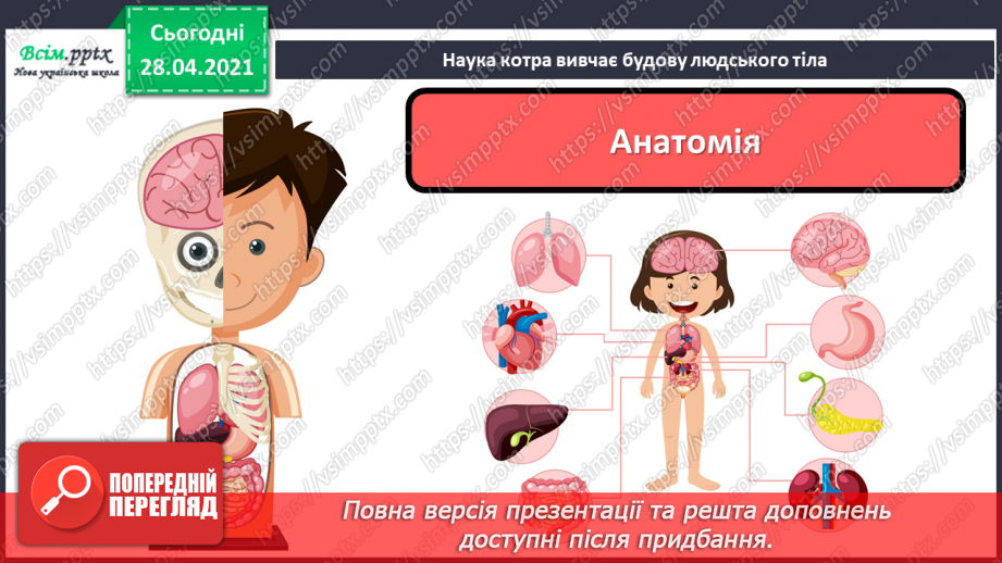 №17-18 - Виготовлення лепбука «Моє тіло».6