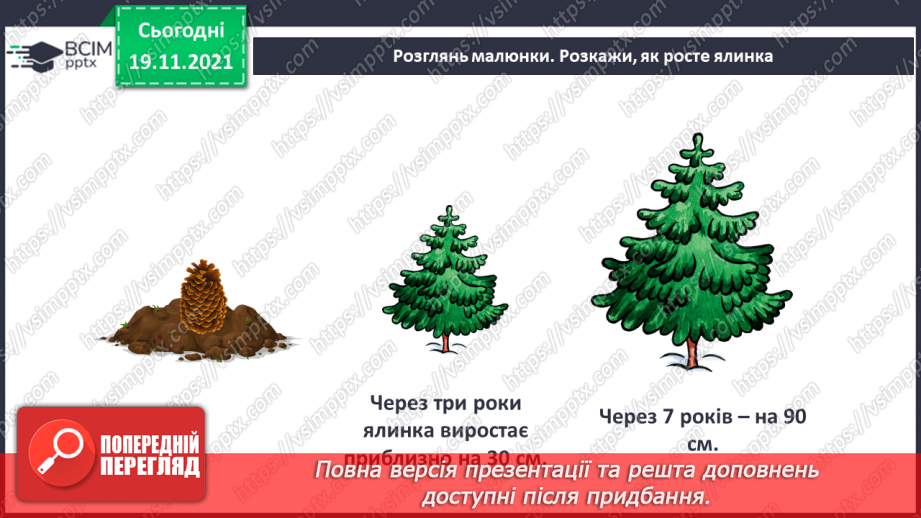 №13 - Проєкт «Карпатська красуня»7 №13 - Проєкт «Карпатська красуня»7