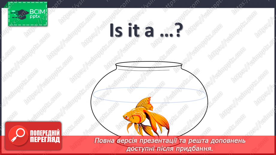 №33 - My pets16