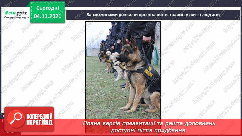№040 - Як тварини пристосувалися добувати корм21 №040 - Як тварини пристосувалися добувати корм21