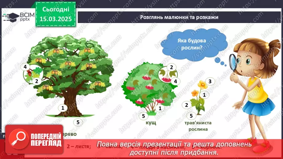 №080 - Будова рослин. Форма листя.9 №080 - Будова рослин. Форма листя.9