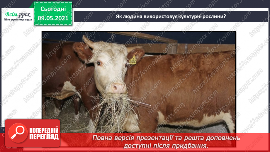 №053 - На які групи поділяють культурні рослини?14 №053 - На які групи поділяють культурні рослини?14