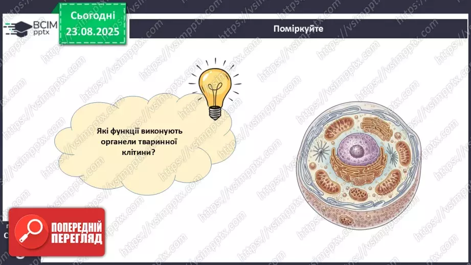 №001 - Організм людини та тварин як багаторівнева біологічна система. Клітини і тканини.28 №001 - Організм людини та тварин як багаторівнева біологічна система. Клітини і тканини.28