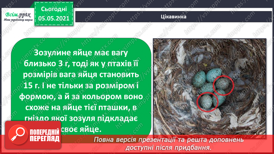 №045 - Різноманітність тварин у природі. Птахи12