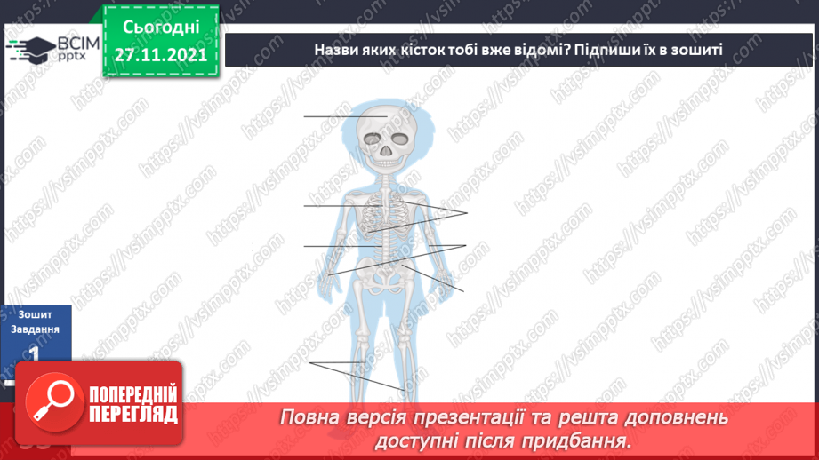 №041 - Що таке опорно-рухова система?4 №041 - Що таке опорно-рухова система?4