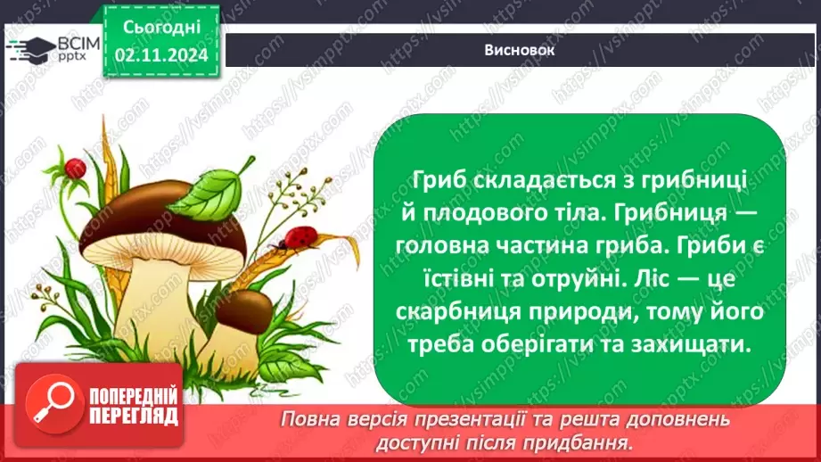 №0033 - Чи всі гриби їстівні31 №0033 - Чи всі гриби їстівні31