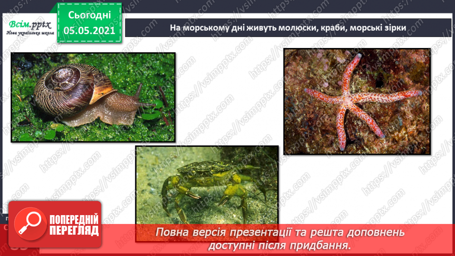 №053-54 - Природне угруповання—море. Подорож- спостереження «Природне угруповання нашої місцевості»23 №053-54 - Природне угруповання—море. Подорож- спостереження «Природне угруповання нашої місцевості»23