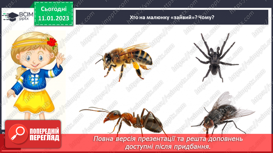 №0055 - Комахи7 №0055 - Комахи7