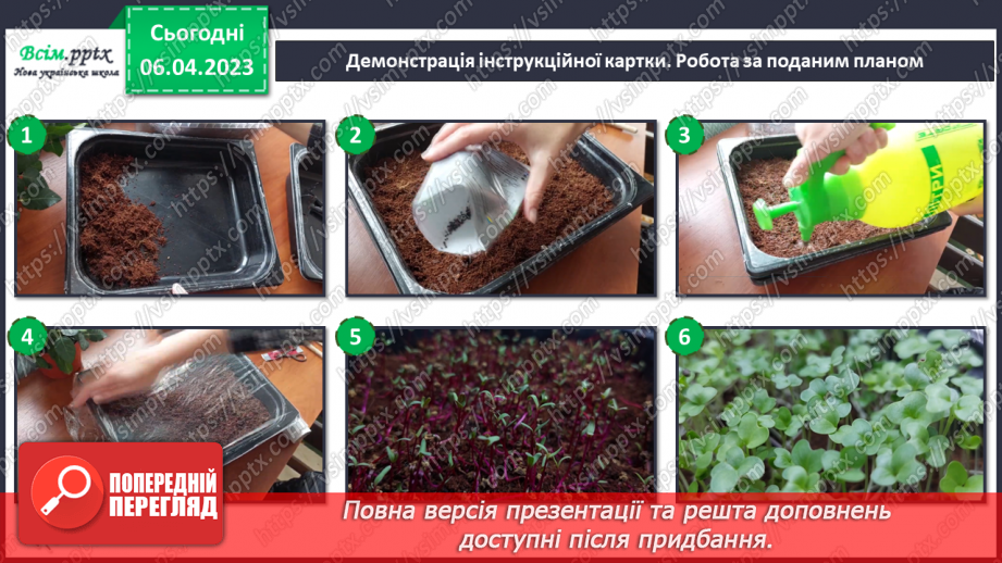 №31 - Виготовлення моделі проростання рослин10 №31 - Виготовлення моделі проростання рослин10