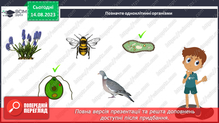 №10 - Одноклітинні та багатоклітинні; рівень організації живої природи.6