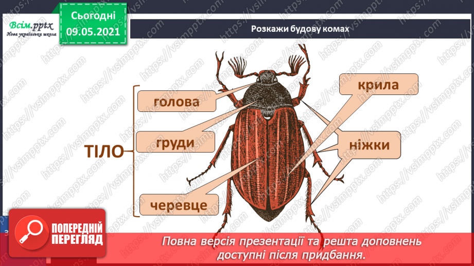 №072 - Застосовуємо знання щодня31