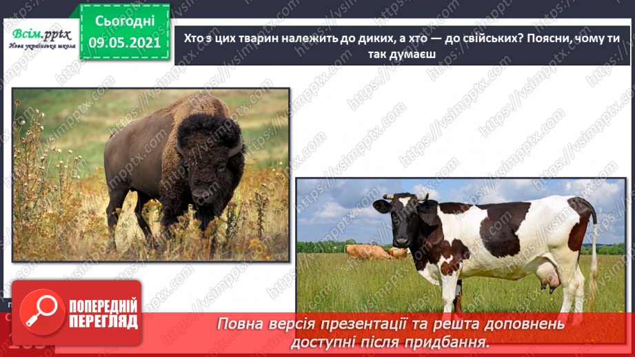 №070 - Як дикі тварини стали свійськими?4