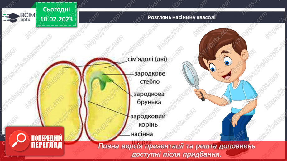 №45 - Пристосування до життя та різноманітність рослин. Секрети насінини.20