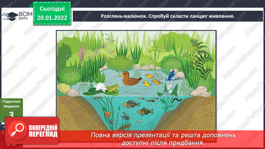 №058 - Які невидимі зв’язки є у природі? Комікс: «Чому говорять, що правда вийде нагору, як олія з води?»13
