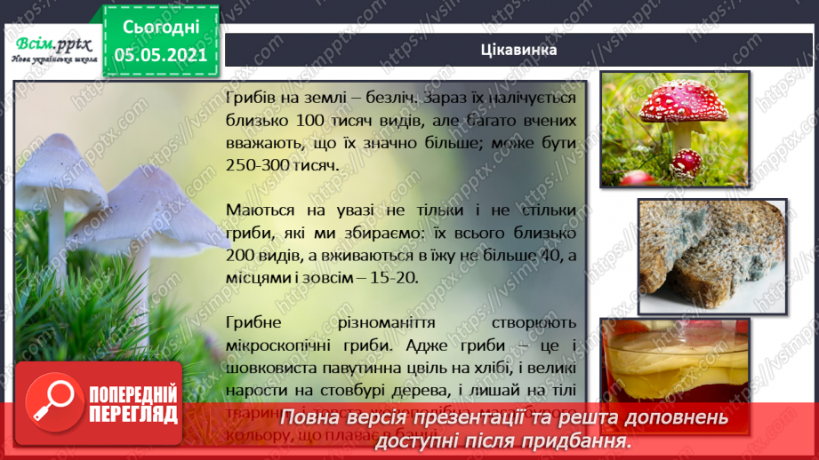 №049 - Гриби.32 №049 - Гриби.32