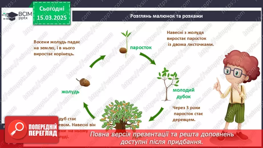 №079 - Царство рослин. Казка про маленького дубка. Як росте дуб13 №079 - Царство рослин. Казка про маленького дубка. Як росте дуб13
