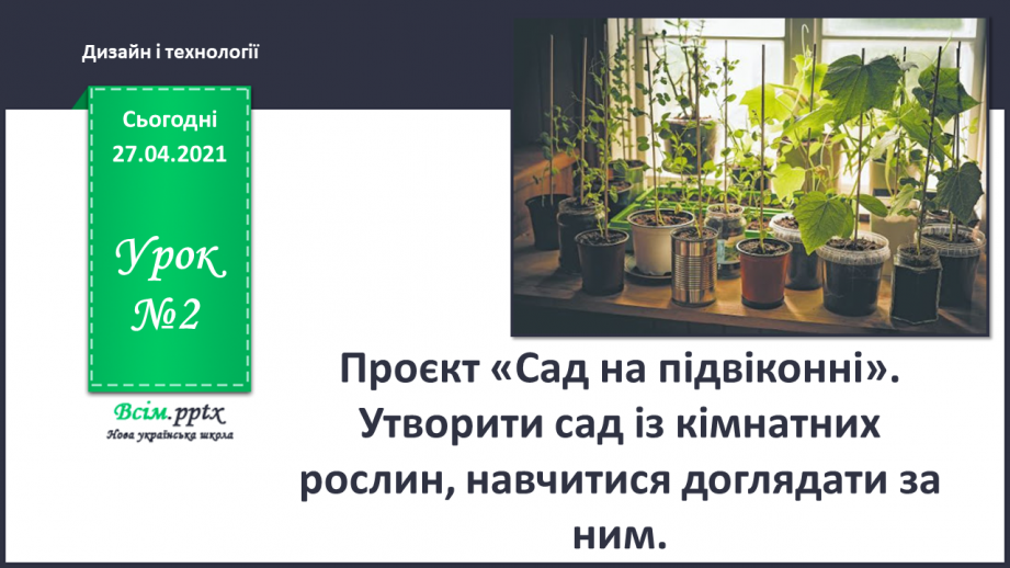 №002 - Проект «Сад на підвіконні». Утворити сад із кімнатних рослин, навчитися доглядати за ним.0