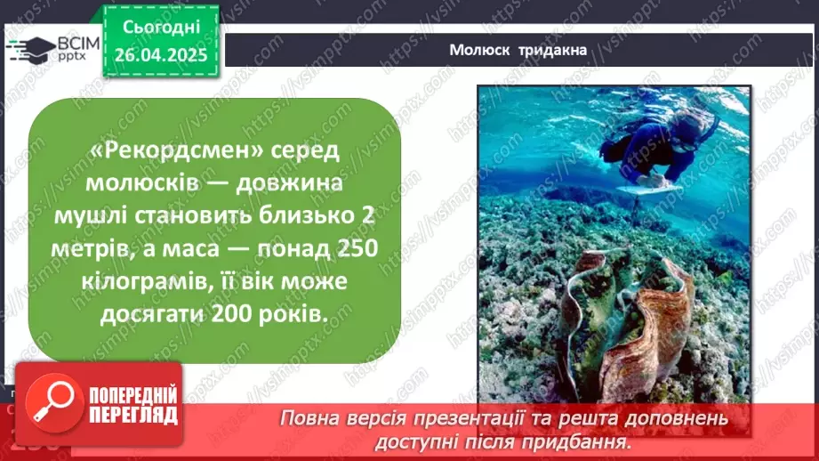 №63 - Чим знаменитий Тихий океан.18