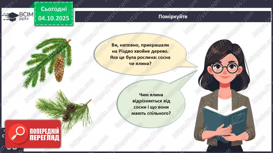 №020 - Голонасінні рослини: значення в екосистемах і використання (продовження).6 №020 - Голонасінні рослини: значення в екосистемах і використання (продовження).6