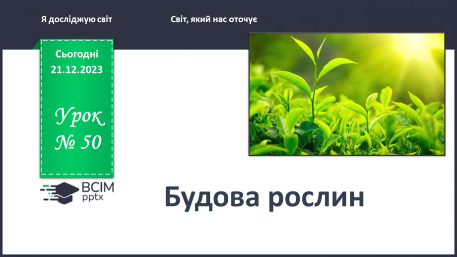 №050 - Яка будова рослин0 №050 - Яка будова рослин0