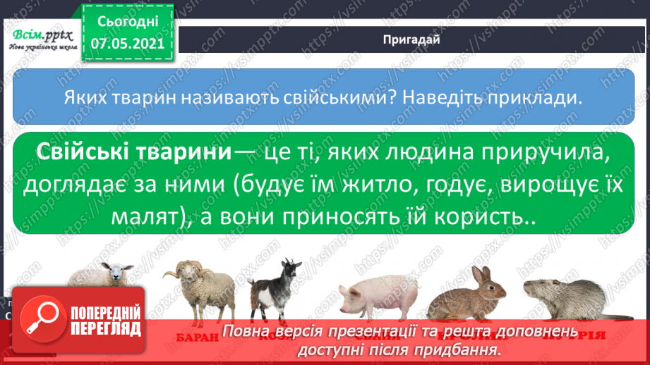№046 - Як з’явилися свійські тварини4 №046 - Як з’явилися свійські тварини4
