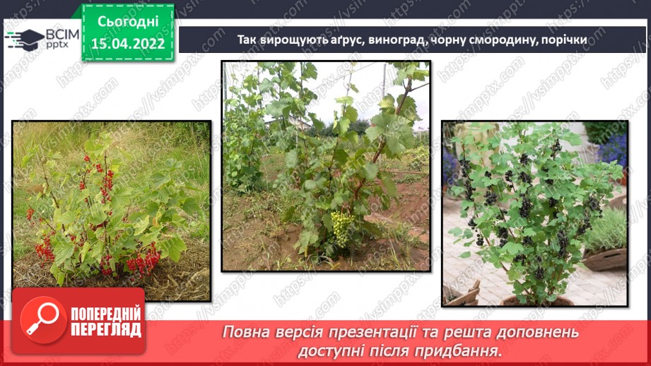 №088 - Що в мене спільного з моїми родичами? Комікс: «Чому потрібно добре готуватися до подорожі?»17 №088 - Що в мене спільного з моїми родичами? Комікс: «Чому потрібно добре готуватися до подорожі?»17