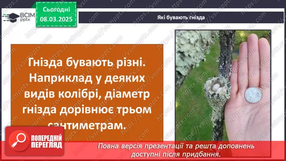 №0076 - Чому птахи в’ють гнізда14 №0076 - Чому птахи в’ють гнізда14