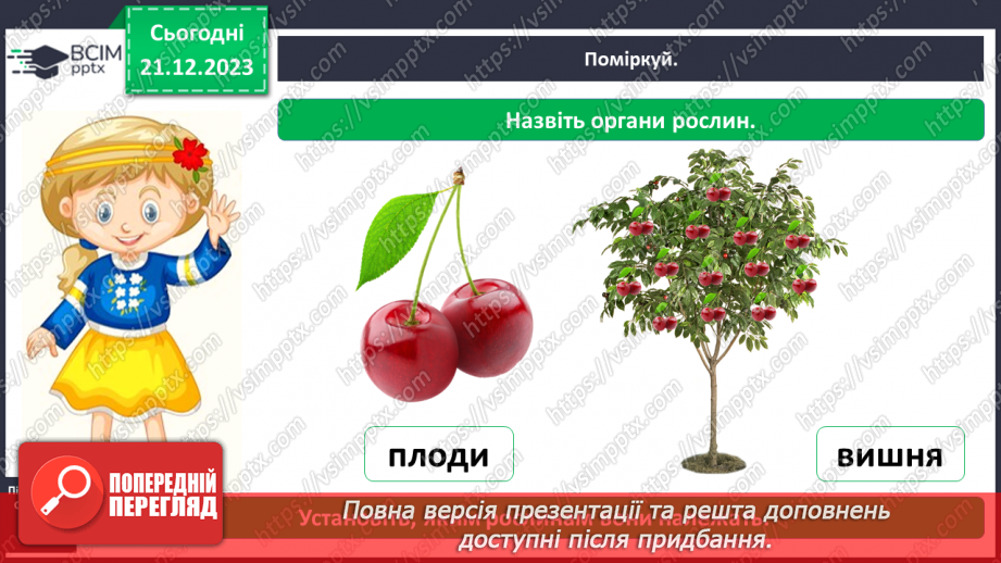 №050 - Яка будова рослин7 №050 - Яка будова рослин7