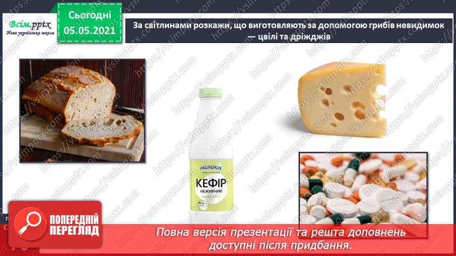 №049 - Гриби.30 №049 - Гриби.30