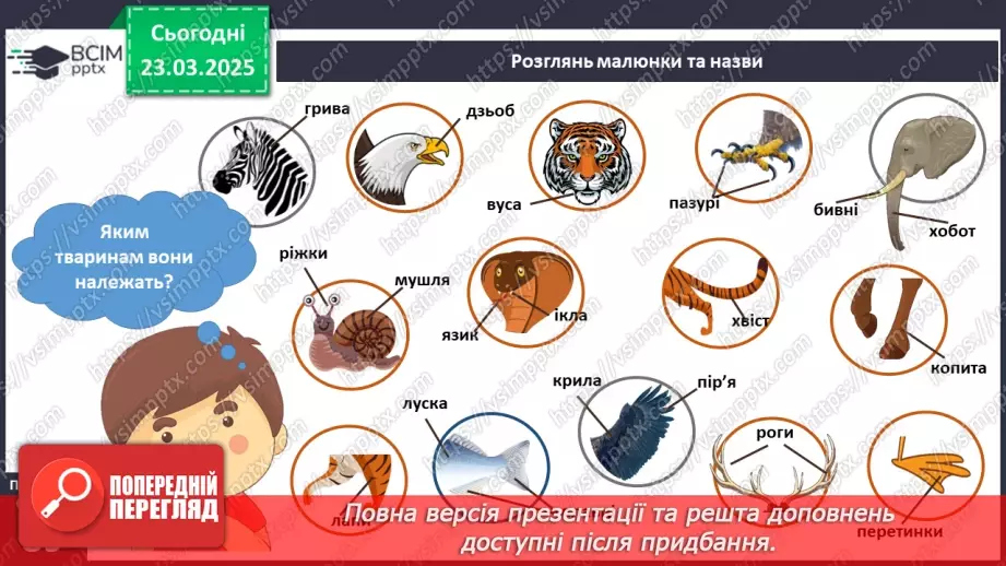 №083 - Частини тіла тварин. Хто великий?9 №083 - Частини тіла тварин. Хто великий?9