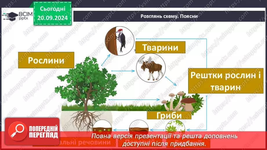 №09 - Географічна оболонка – найбільший природний комплекс Землі.4